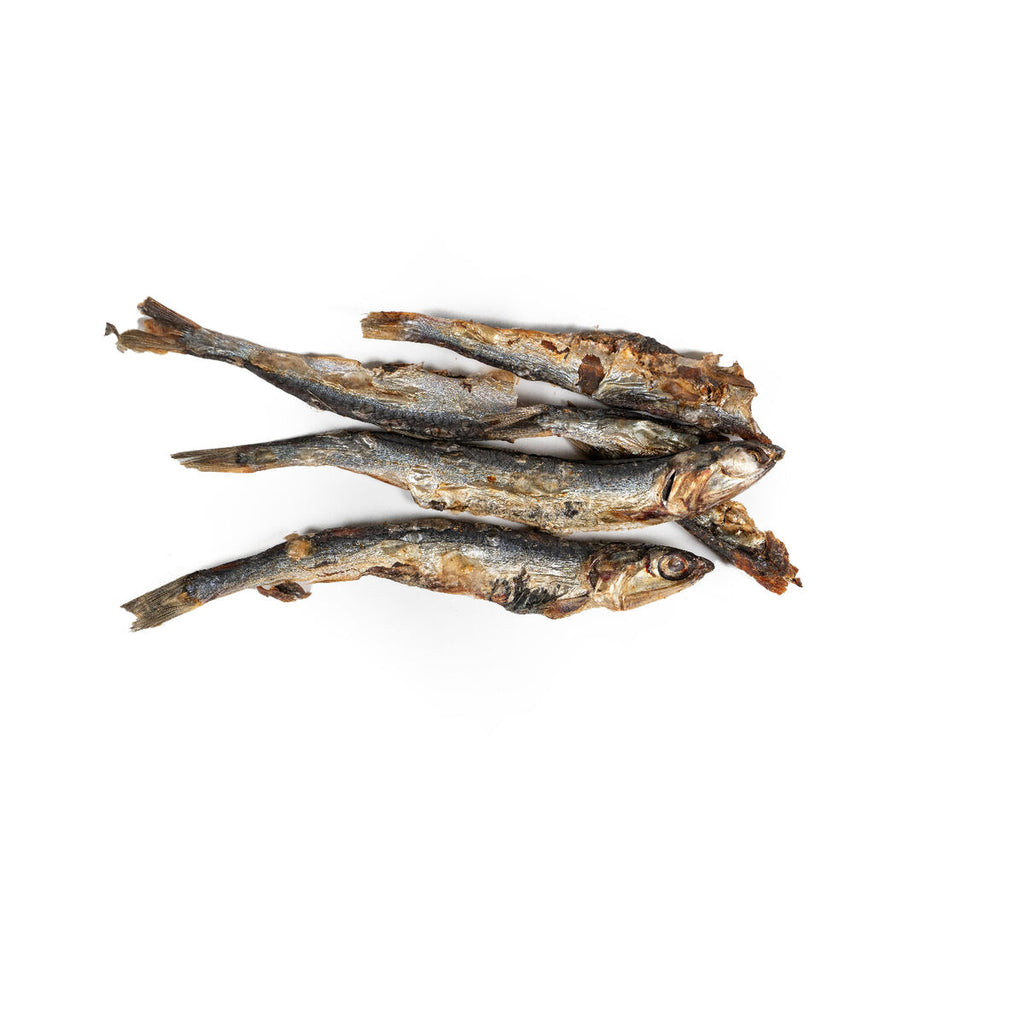 Wet food Snackys Fish 70 g